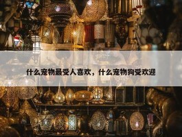 什么宠物最受人喜欢，什么宠物狗受欢迎