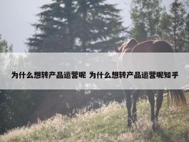 为什么想转产品运营呢 为什么想转产品运营呢知乎