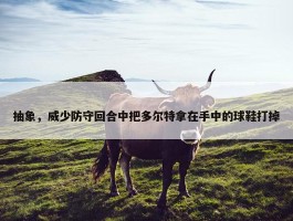 抽象，威少防守回合中把多尔特拿在手中的球鞋打掉