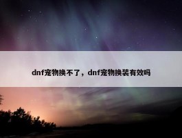 dnf宠物换不了，dnf宠物换装有效吗