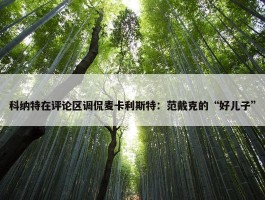 科纳特在评论区调侃麦卡利斯特：范戴克的“好儿子”