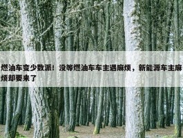 燃油车变少数派！没等燃油车车主遇麻烦，新能源车主麻烦却要来了