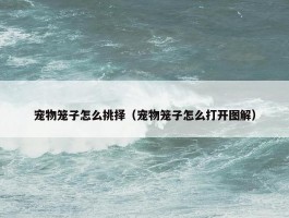 宠物笼子怎么挑择（宠物笼子怎么打开图解）