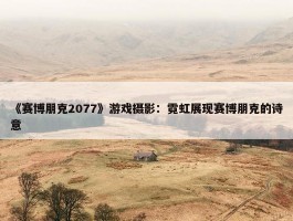 《赛博朋克2077》游戏摄影：霓虹展现赛博朋克的诗意