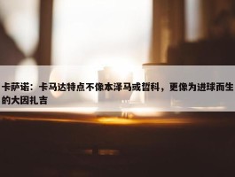 卡萨诺：卡马达特点不像本泽马或哲科，更像为进球而生的大因扎吉