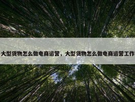 大型货物怎么做电商运营，大型货物怎么做电商运营工作