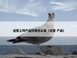 运营上传产品价格怎么算（运营 产品）