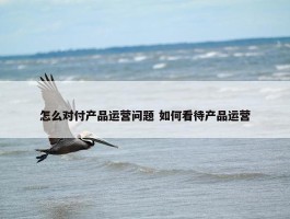 怎么对付产品运营问题 如何看待产品运营