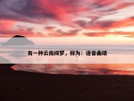 有一种云南绮梦，称为：逐音曲靖