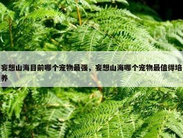 妄想山海目前哪个宠物最强，妄想山海哪个宠物最值得培养