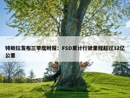 特斯拉发布三季度财报：FSD累计行驶里程超过32亿公里