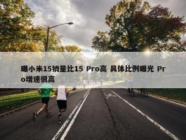 曝小米15销量比15 Pro高 具体比例曝光 Pro增速很高