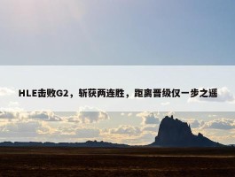 HLE击败G2，斩获两连胜，距离晋级仅一步之遥