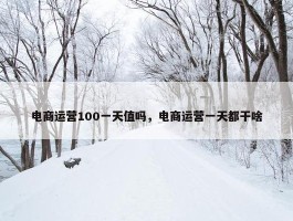 电商运营100一天值吗，电商运营一天都干啥