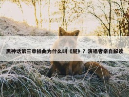 黑神话第三章插曲为什么叫《屁》？演唱者亲自解读