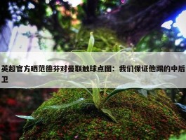 英超官方晒范德芬对曼联触球点图：我们保证他踢的中后卫