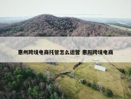 惠州跨境电商托管怎么运营 惠阳跨境电商