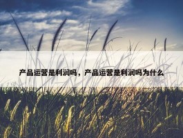 产品运营是利润吗，产品运营是利润吗为什么