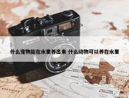 什么宠物能在水里养出来 什么动物可以养在水里