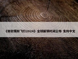 《微软模拟飞行2024》全球解锁时间公布 支持中文