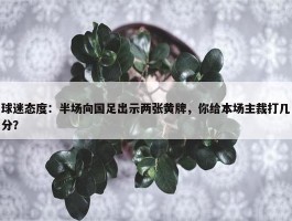 球迷态度：半场向国足出示两张黄牌，你给本场主裁打几分？