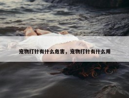 宠物打针有什么危害，宠物打针有什么用