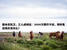 国米买后卫，三人成候选：3000万要价不低，橡树集团真的支持么？