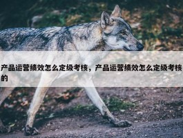 产品运营绩效怎么定级考核，产品运营绩效怎么定级考核的