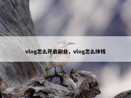 vlog怎么开启副业，vlog怎么挣钱