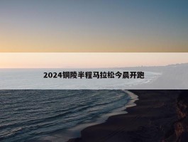 2024铜陵半程马拉松今晨开跑