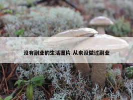 没有副业的生活图片 从来没做过副业