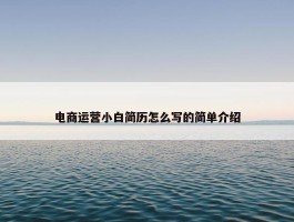 电商运营小白简历怎么写的简单介绍