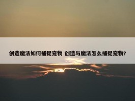 创造魔法如何捕捉宠物 创造与魔法怎么捕捉宠物?