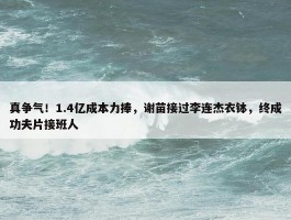 真争气！1.4亿成本力捧，谢苗接过李连杰衣钵，终成功夫片接班人