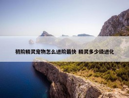 初阶精灵宠物怎么进阶最快 精灵多少级进化