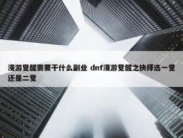 漫游觉醒需要干什么副业 dnf漫游觉醒之抉择选一觉还是二觉