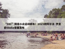 “34C”同级小众运动轿车！2025款阿尔法·罗密欧Giulia官图发布