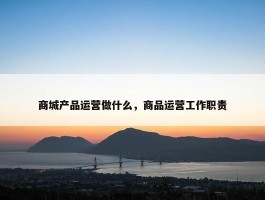 商城产品运营做什么，商品运营工作职责