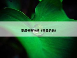 李晨养宠物吗（李晨的狗）