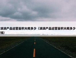 滴滴产品运营面积大概多少（滴滴产品运营面积大概多少钱）