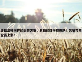 四位法师同样的调整方案，其他的胜率都在跌！凭啥弈星全面上涨？