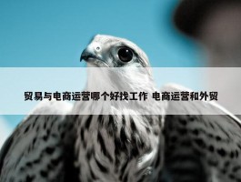 贸易与电商运营哪个好找工作 电商运营和外贸