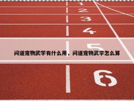 问道宠物武学有什么用，问道宠物武学怎么算