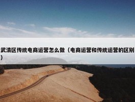 武清区传统电商运营怎么做（电商运营和传统运营的区别）