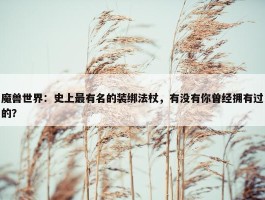 魔兽世界：史上最有名的装绑法杖，有没有你曾经拥有过的？