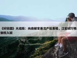 《好团圆》大结局：向南被家暴流产后离婚，江宏斌行贿偷税入狱