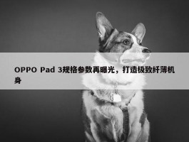 OPPO Pad 3规格参数再曝光，打造极致纤薄机身