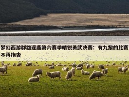 梦幻西游群雄逐鹿第六赛季精锐勇武决赛：有九黎的比赛不再拖沓