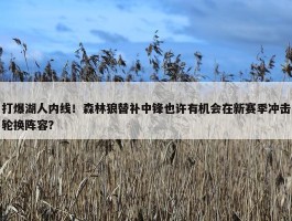 打爆湖人内线！森林狼替补中锋也许有机会在新赛季冲击轮换阵容？