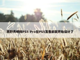 西野秀明称PS5 Pro在PS5发售前就开始设计了